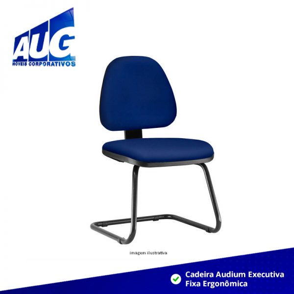 Cadeira Audium Executiva Fixa Ergonômica
